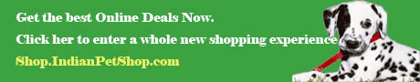 Shop Online for Dog Food, Cat Food and all Pet Products Shop Online for Dog Food, Cat Food and all Pet Products