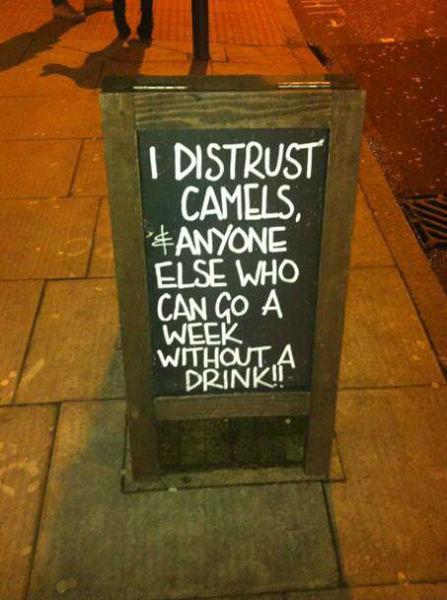 Funny Bar Boards - BhaviniOnline.com