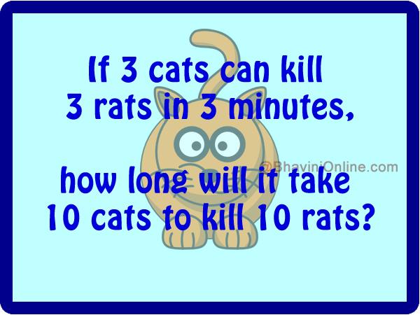 Fun Math Riddles How Long Will It Take 10 Cats To Kill 10 Rats Fun math riddles how long will it take 10 cats to kill 10 rats