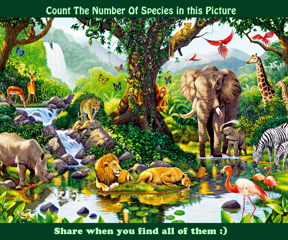Count The Number Of Species You See in The picture 