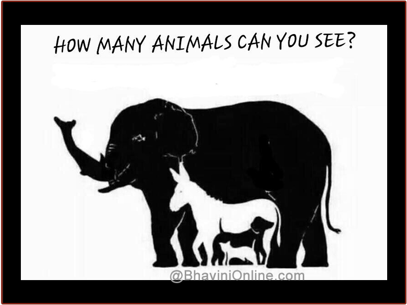 Fun Picture Riddle: How Many Animals Do You See in The Photo? |  