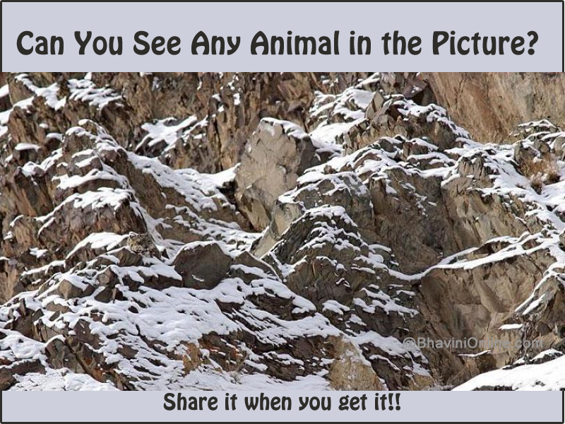 Fun Picture Riddle: Find the Animal Hidden in Mountains 