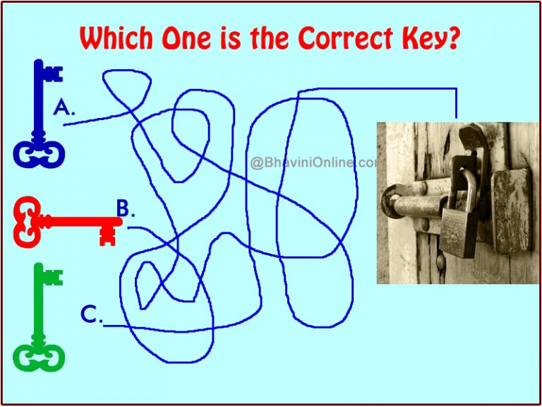 Fun Picture Riddle: Which One is The Correct Key | BhaviniOnline.com