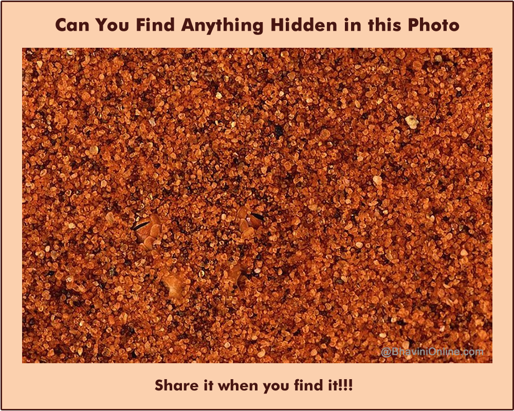 Picture Riddle: Can You Find Anything Hidden in this Photo? |  