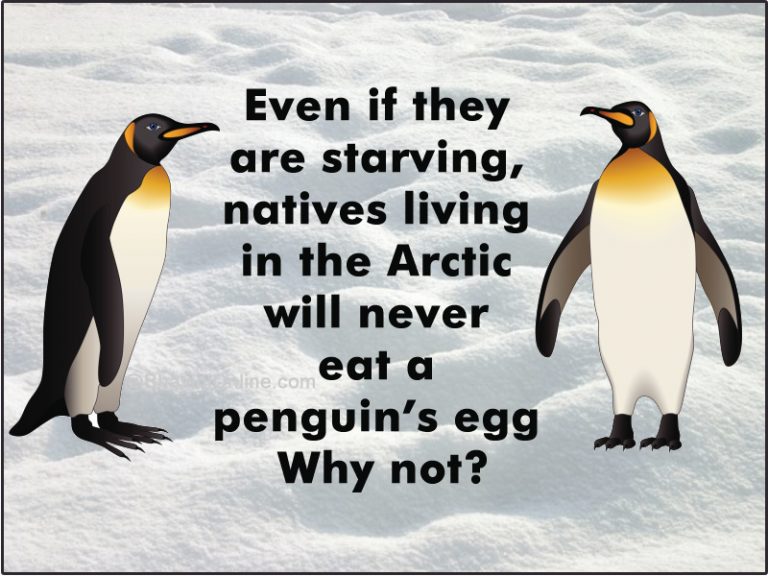 Fun Riddle: Natives Living In The Arctic Will Never Eat A Penguin's Egg ...