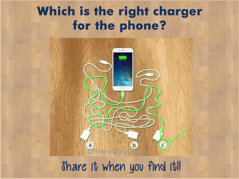 Picture Riddle: Find the Charger Connected to the Phone | BhaviniOnline.com