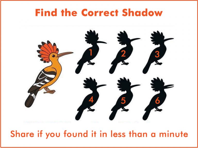 Picture Riddle Find the Correct Shadow