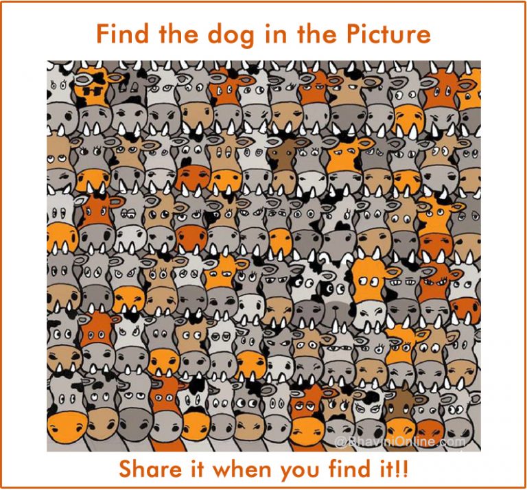 Picture Riddle Find the Dog in the Given Image