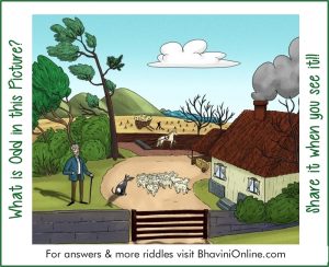 Picture Riddle: What is Odd in the Given Picture? | BhaviniOnline.com