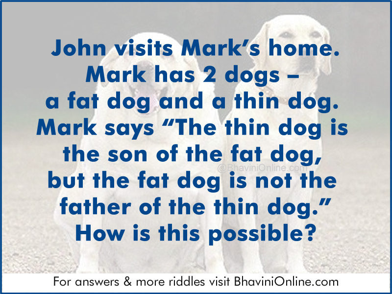 Fun Riddle The Thin Dog Is The Son Of The Fat Dog